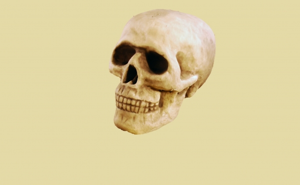 Creation of Golden skull: Step 2